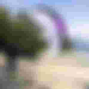 DTF-Duotone-Stash-KlaasVoget-2025-TobyBromwich-5081