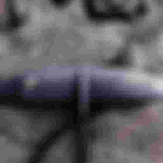 Foil-BlitzDLAB_Detail_LS_Duotone_Maui_by-JohnCarter__DY8_D1_0142
