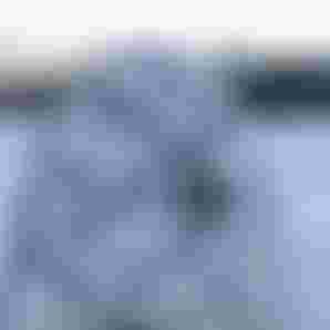 DTF-Duotone-SkyBridD-LAB-2026-HoodRiver-TobyBromwich-1123