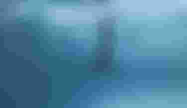 MelissaTrullier_Midfish_FoilAssistCruiseAL_Duotone_DTE_Tahiti_by_Ben_Thouard_54961