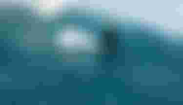 ArthurThebault_byTobyBromwich