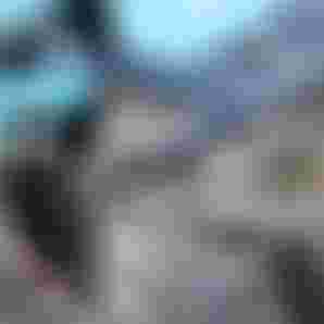 Dtf-NiaSuardiaz-HoodRiver-2026-TobyBromwich-5008