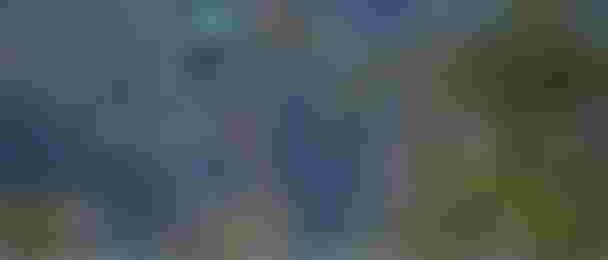 Dtf-Acherer-HoodRiver-2026-TobyBromwich-1689