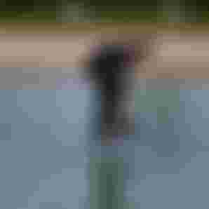 Benjamin Dockstart 5