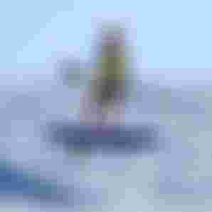 1005c958-da53-4f62-9585-c875e5a6ec4c