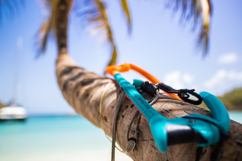 Duotone Trust Bar Quad Control 2019 Steuerbar beim Kitesurfen an tropischem Strand mit Palme und türkisem Ozean
