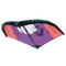 Echo - CC4:red/purple