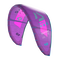 Evo - C20:purple