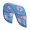 Neo - C05:blue