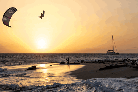 Duotone Dice SLS LEI kite during kitesurfing on a tropical ocean beach with driftwood at warm golden sunset