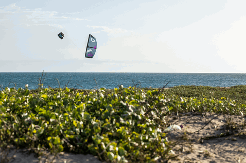 Duotone Dice SLS LEI kite during kitesurfing on an ocean beach with sandy dunes and coastal vegetation