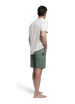 Shorts Walk Tube men - 616 dusty-olive - 38/XXL