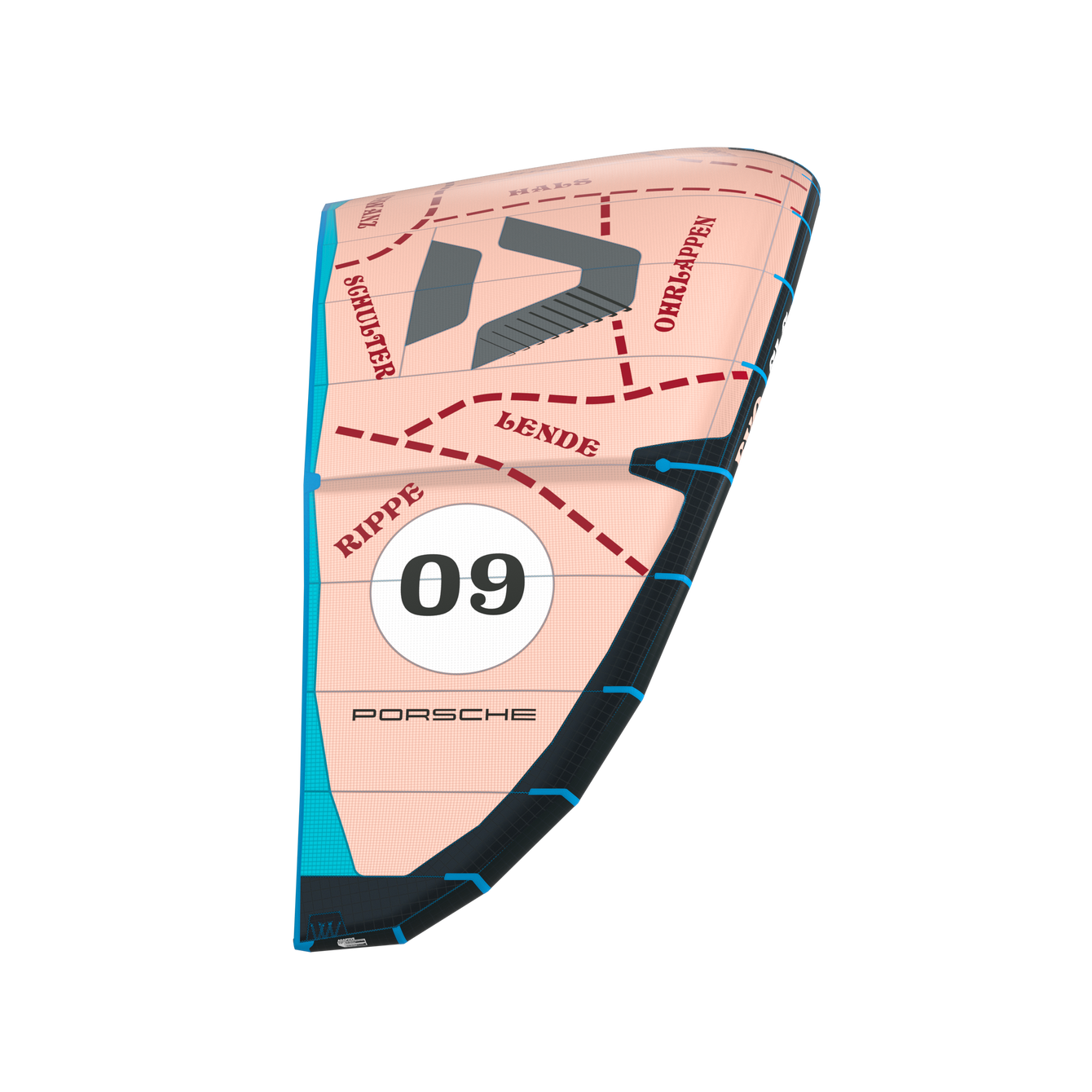 DUOTONE Evo SLS ᐅ Your perfect allround freeride kite!