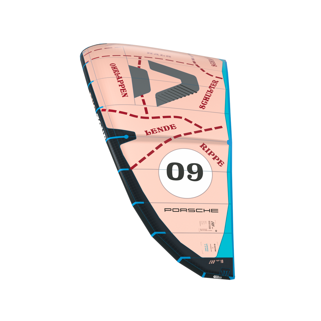 DUOTONE Evo SLS ᐅ Your perfect allround freeride kite!