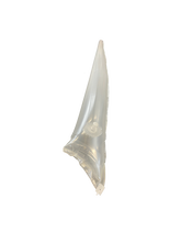 Bladder Strut Ventis D/LAB right