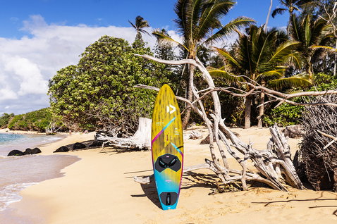 Duotone Grip 4 SLS windsurf board in olive gold on a tropical beach with palm trees