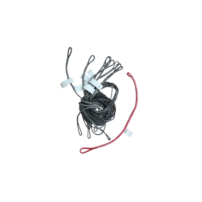 Front Bridle Set Evo SLS left/red (SS24) - C99:random - 06.0