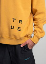 Hoody True Fade Out men - 313 mango - 48/S
