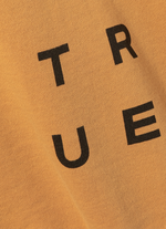 Hoody True Fade Out men - 313 mango - 48/S