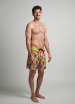 Boardshorts DT Originals 17inch men - 622 algae - 34/L