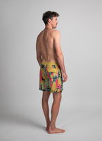 Boardshorts DT Originals 17inch men - 622 algae - 34/L