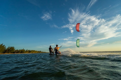 Duotone Evo LEI kite pendant le kitesurf sur la plage de l'océan avec des arbres en arrière-plan
