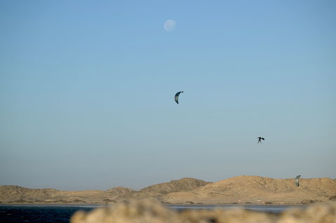 Duotone D/LAB LEI kite lors du kitesurf sur une côte désertique avec dunes rocheuses et eau plate
