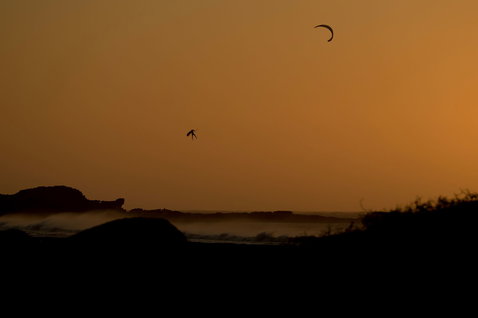 Duotone D/LAB LEI kite lors du kitesurf sur une plage océanique avec littoral rocheux