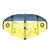 Ventis FS - C11:yellow /dark-blue - 7.0