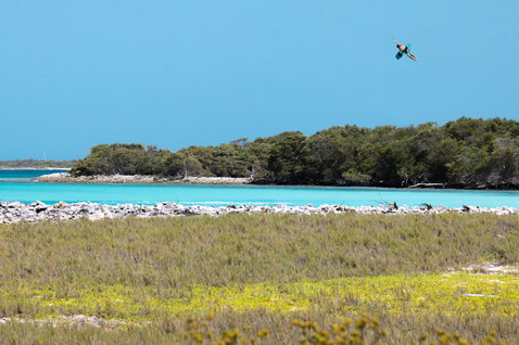 Duotone Jaime SLS Click Bar Quad Control lors de kitesurf dans un lagon côtier tropical avec des îles de mangroves
