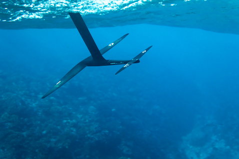 Aile avant Duotone Crest D/LAB en foiling sous l'eau à Tahiti