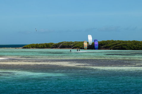 Duotone Rebel SLS LEI kite during kitesurfing in a tropical lagoon with mangrove coastline