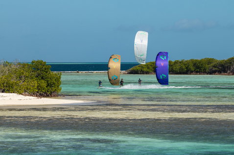 Duotone Rebel SLS LEI kite during kitesurfing in a tropical lagoon with sandy beach and mangroves