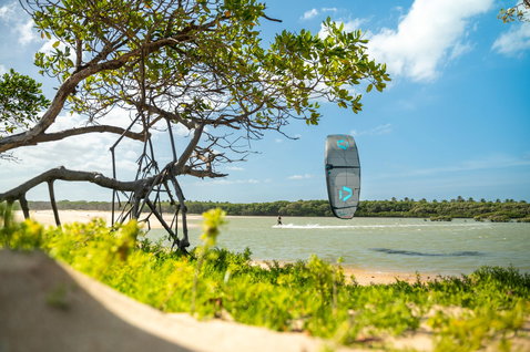 Duotone Evo SLS LEI kite during kitesurfing in a tropical lagoon beach with mangrove trees