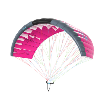 Stash - C15:purple/dark-grey