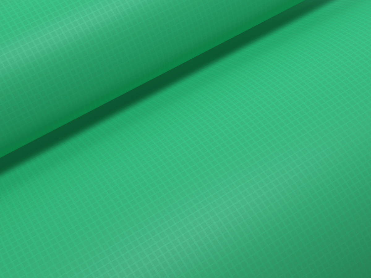 Canopy Trinity (SS18-onw) - fresh-green/2414