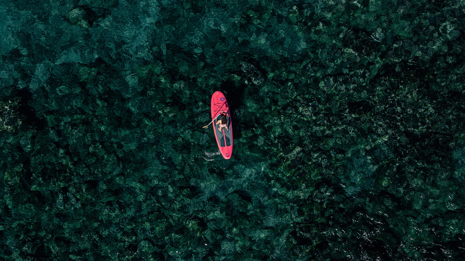 Duotone Grace Air SLS inflatable SUP board during paddling on the ocean in coral
