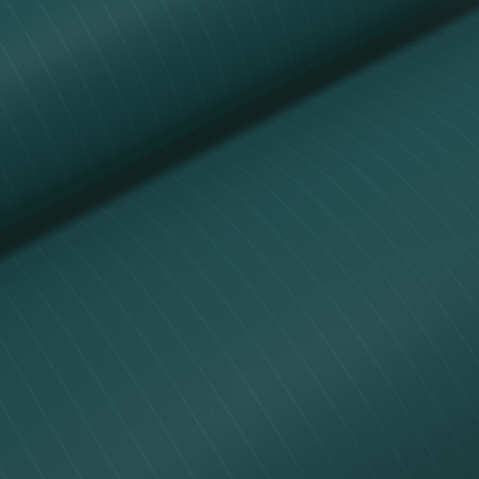 Duotone_Kiteboarding_Dacron-Marubeni-(SS11-onw)_Product-Pictures_12