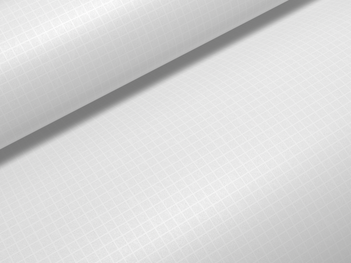 Canopy Parawing - white