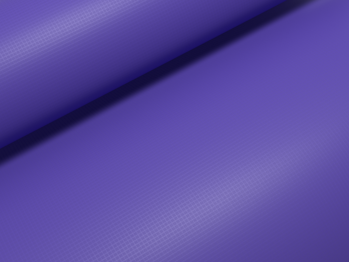 Canopy MOD3S (SS25-onw) - vivid-violet/2097