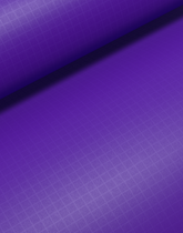 Canopy Parawing - C59:purple