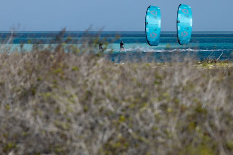 Duotone Evo D/LAB LEI kite during kitesurfing on the ocean in aqua blue