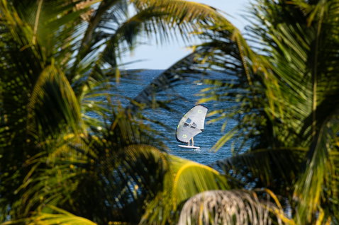 Duotone Unit Foilwing beim Wing Foiling auf dem Meer in Guadeloupe, gerahmt von Palmen