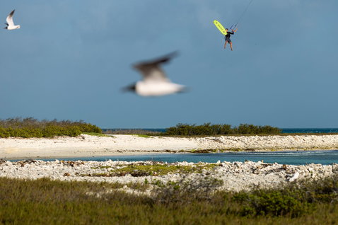 Tabla de kitesurf twin-tip Duotone Jaime Concept Blue durante kitesurf en laguna costera