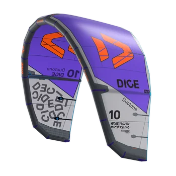 Dice SLS - C01:gray/purple
